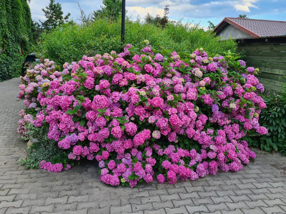 Dworek Sw.Antoniego Slawutowo Bagian luar foto